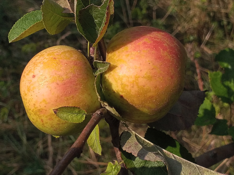 20210825_170851.jpg