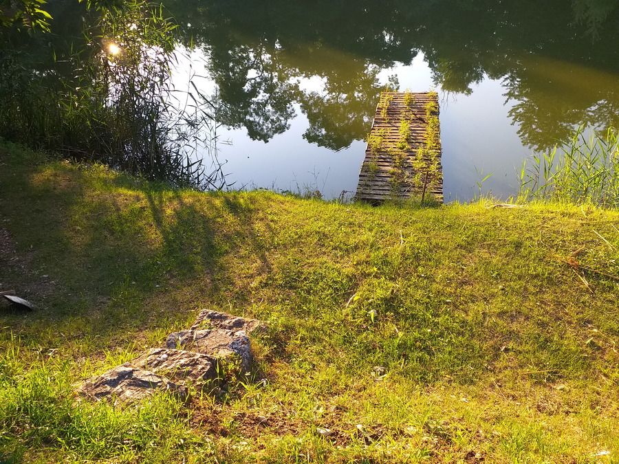 20210802_191049.jpg