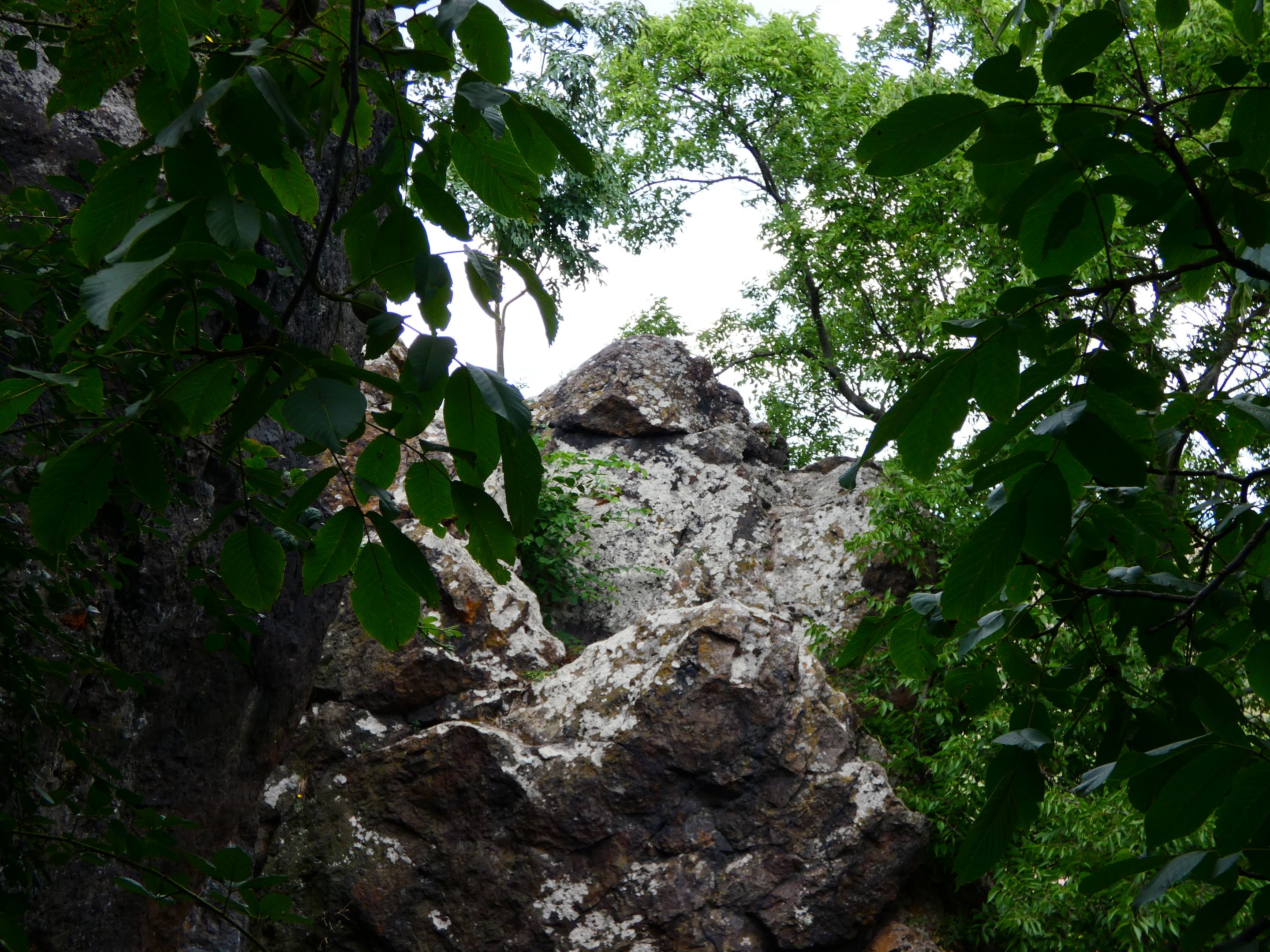 P1370973.JPG