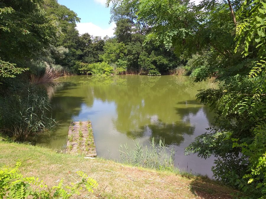 20210802_101501.jpg