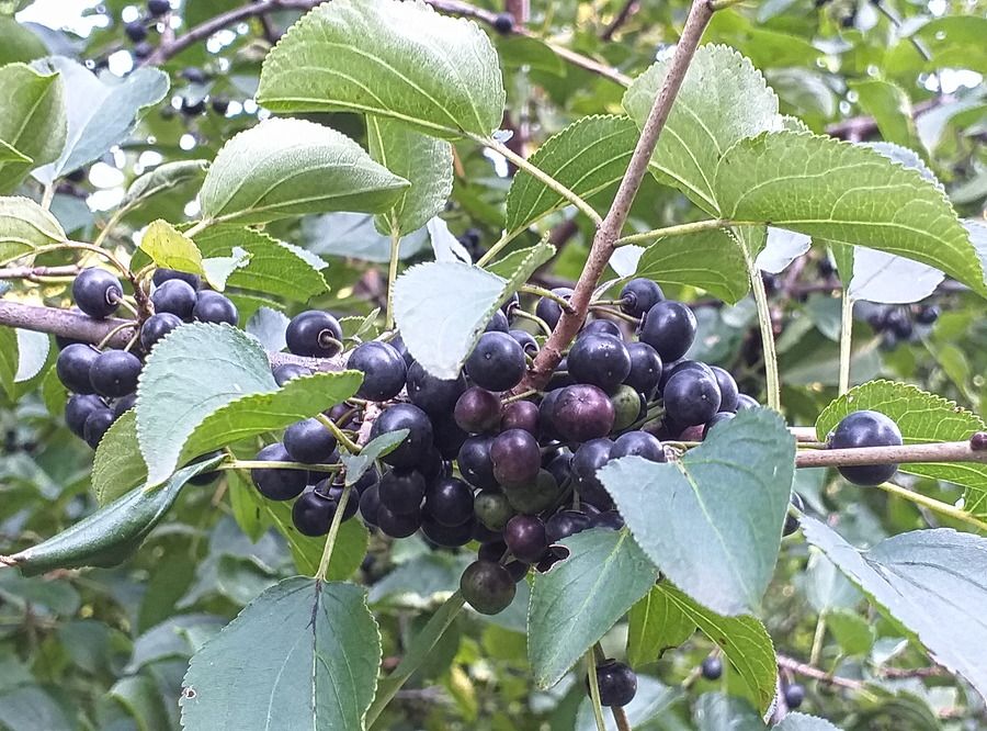 20210825_171114.jpg