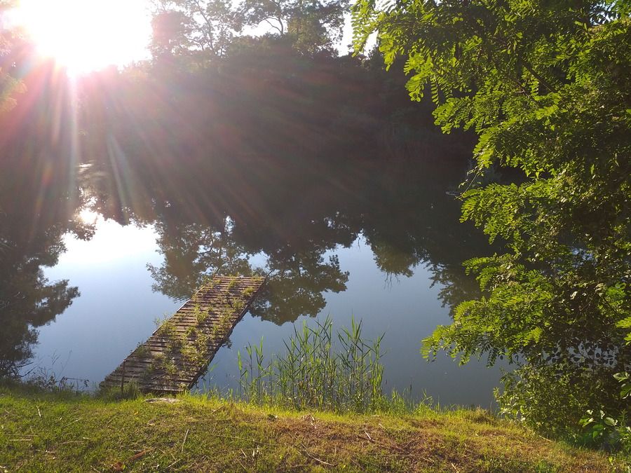 20210802_191040.jpg