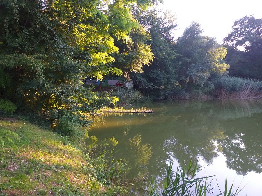 20210802_191525.jpg