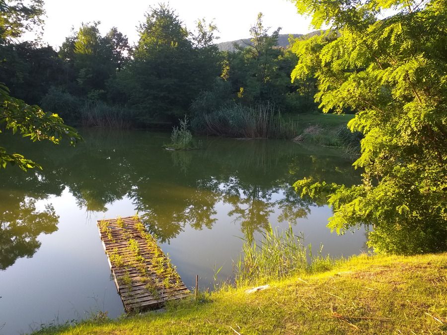 20210802_191101.jpg
