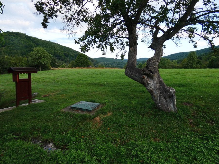 P1370785.jpg