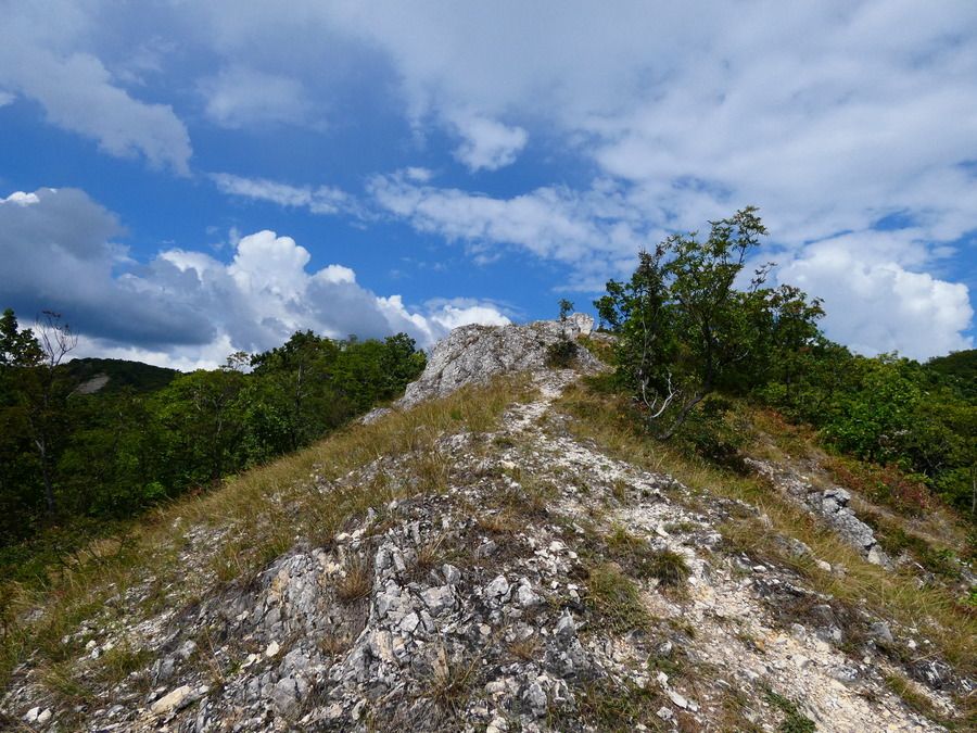 P1380019.jpg