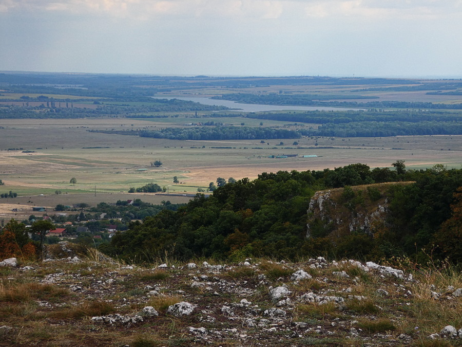 P1380032.jpg