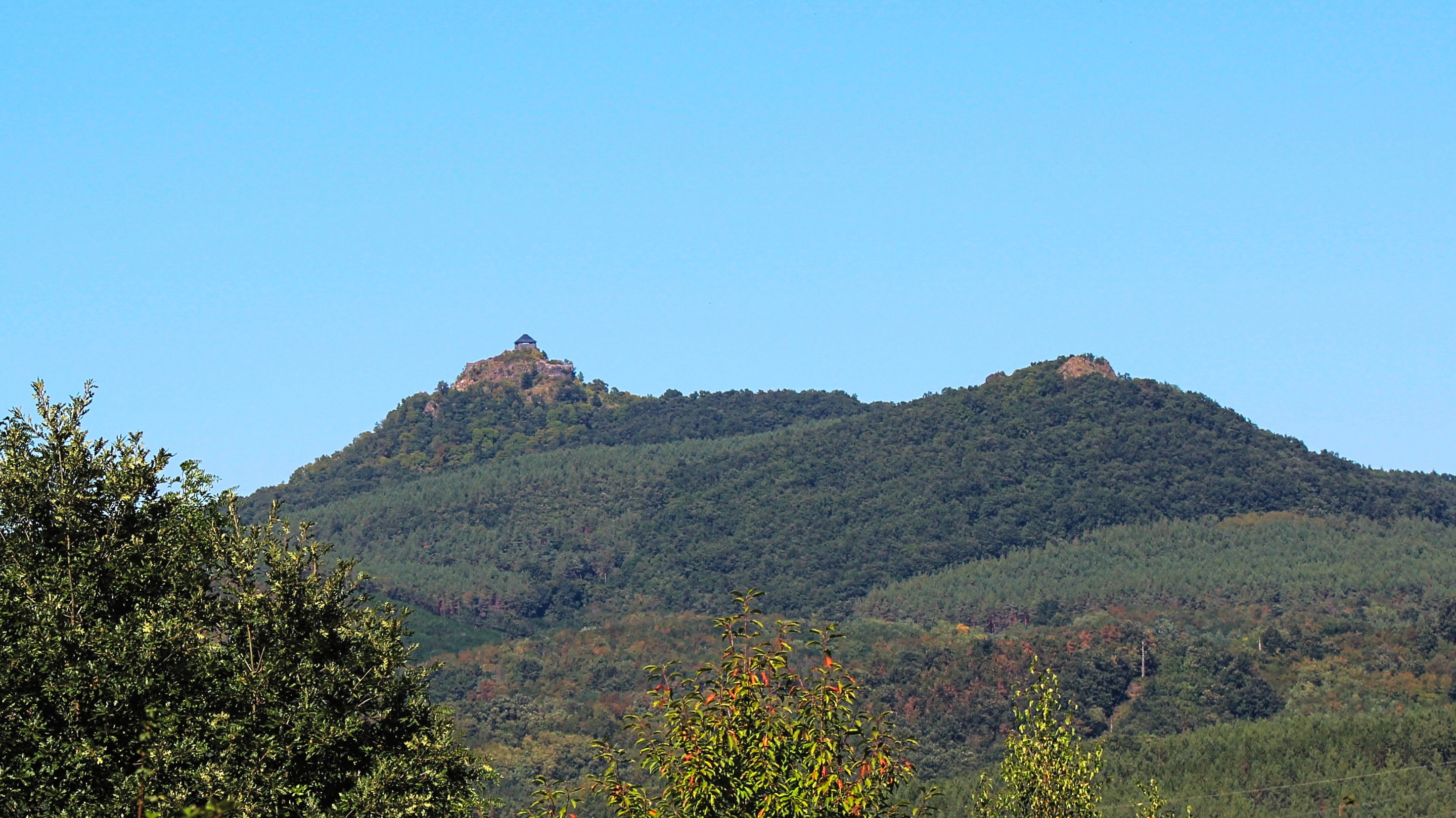 IMG_8439.jpg