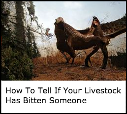 bd1cb1d5060945a2456f9cc6c8ad67d8 2.png