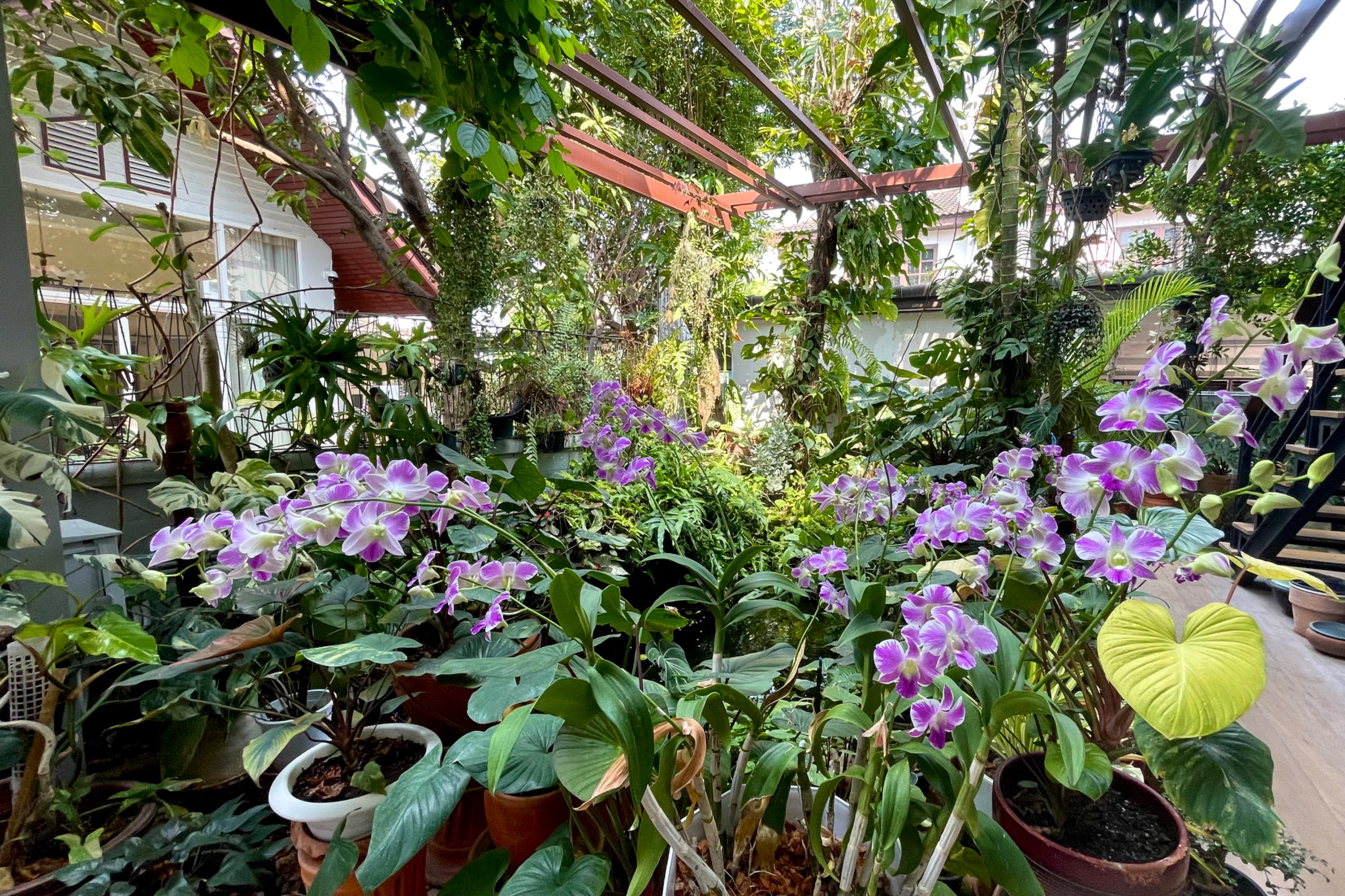 IMG_3081.jpeg