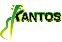 fwti0O8C-image.png