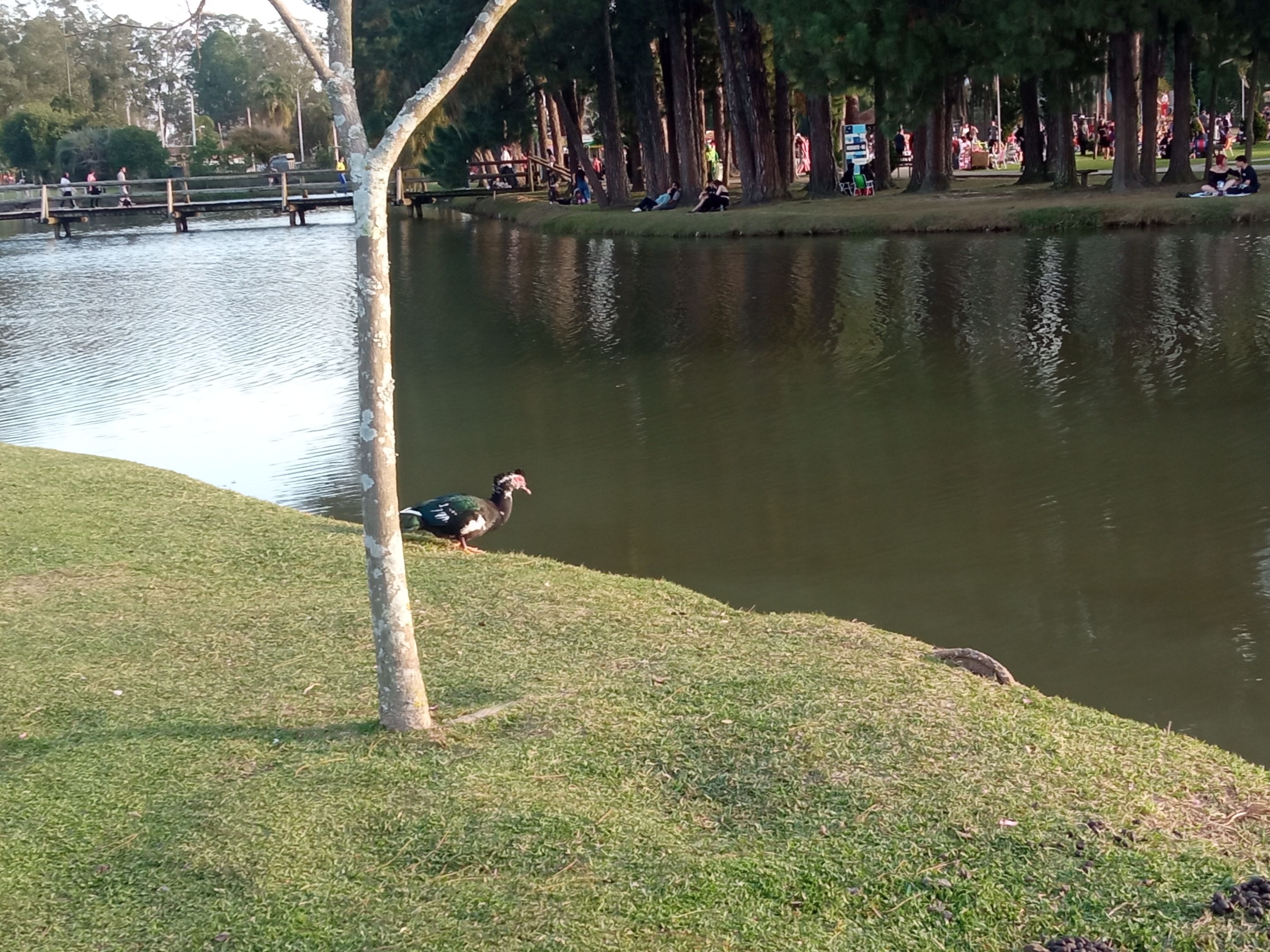 IMG_20250726_165841.jpg