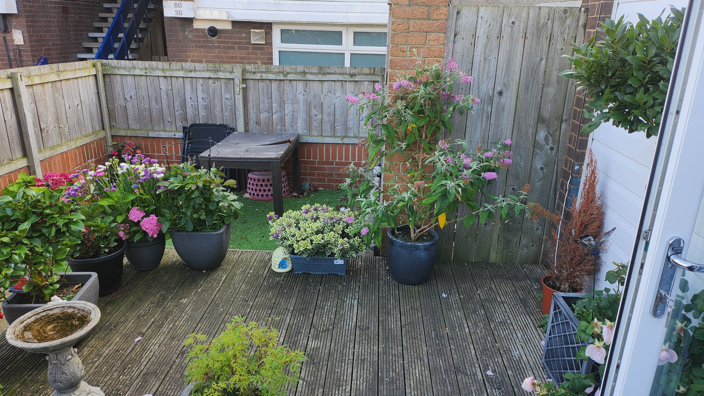 1000019608.jpg