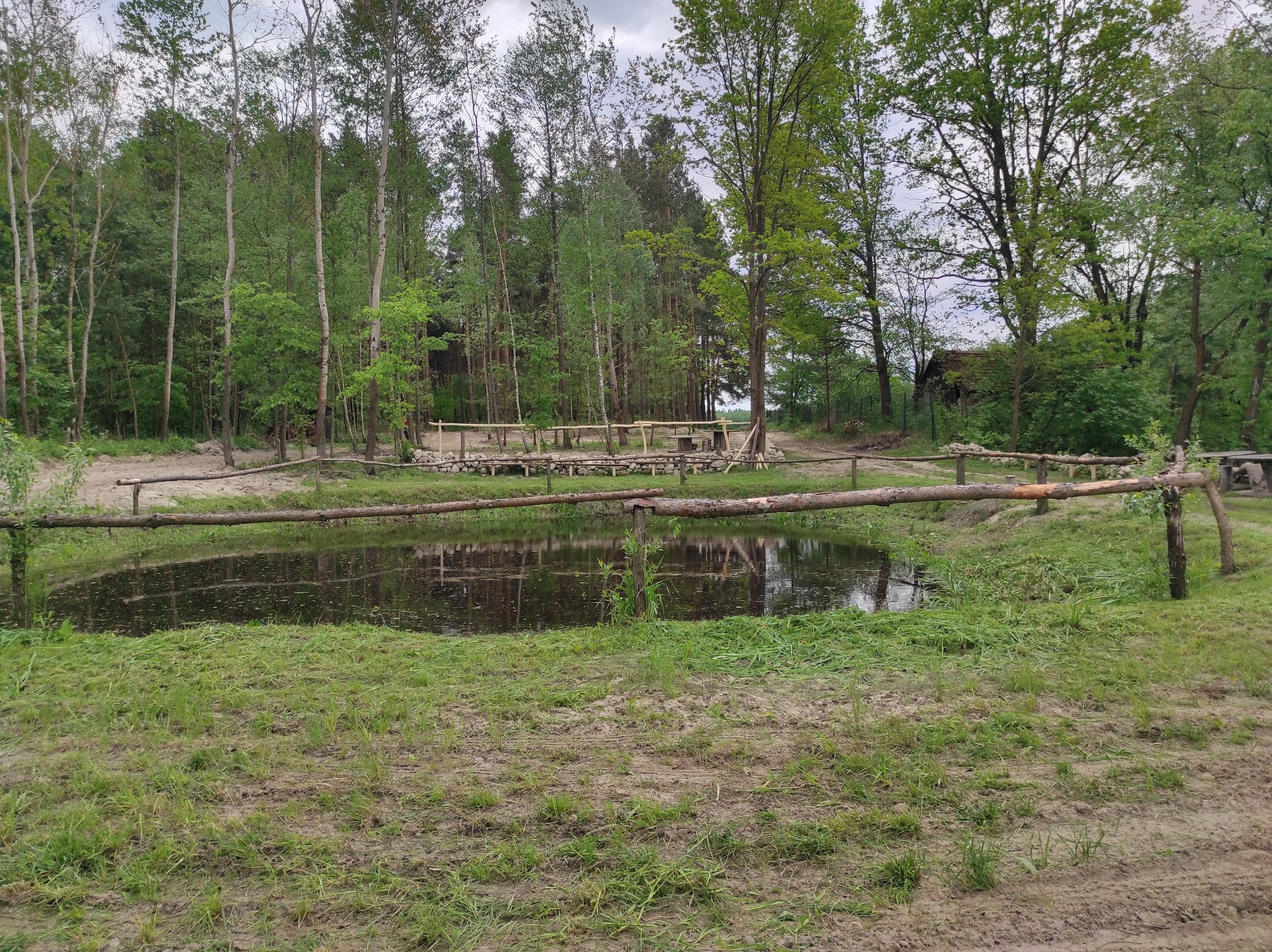 IMG_20210522_120100.jpg