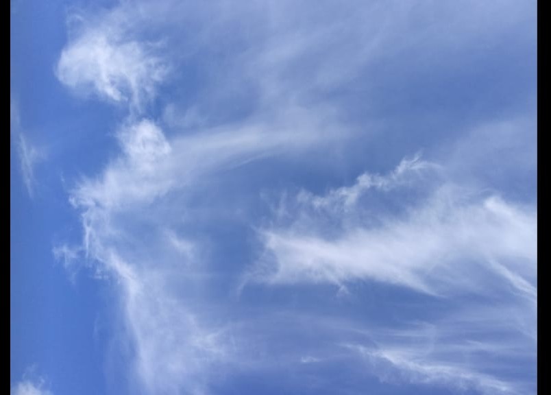 66a5bc95-ae90-4a79-9815-a4058ea58e78.jpg