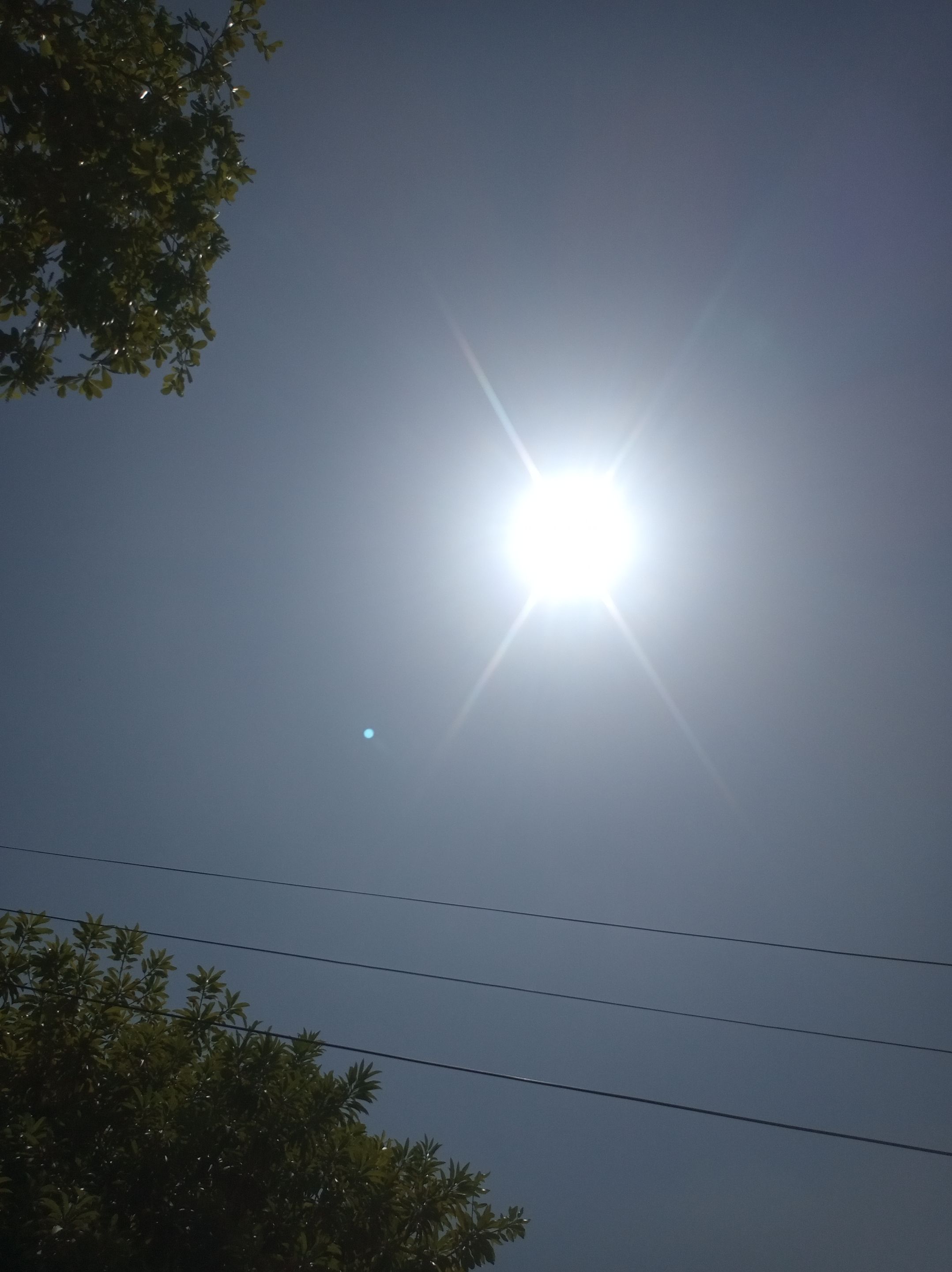IMG_20250830_140618.jpg