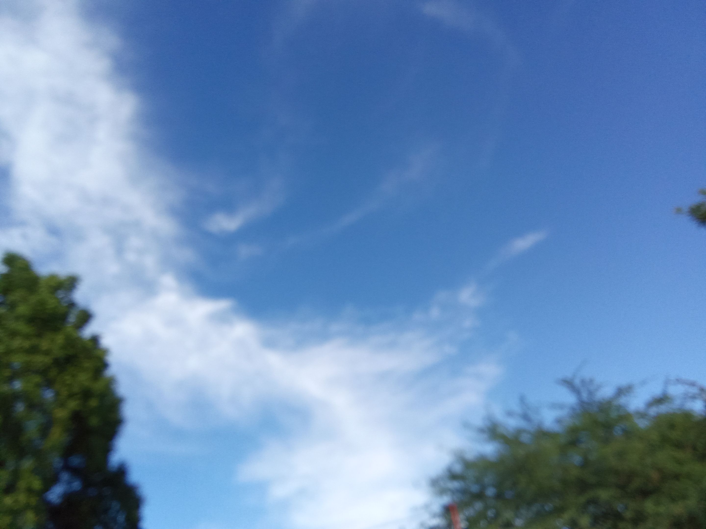 IMG_20241212_163530.jpg