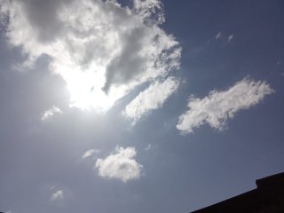 1754855958716.jpg
