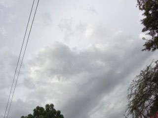 1754855958885.jpg