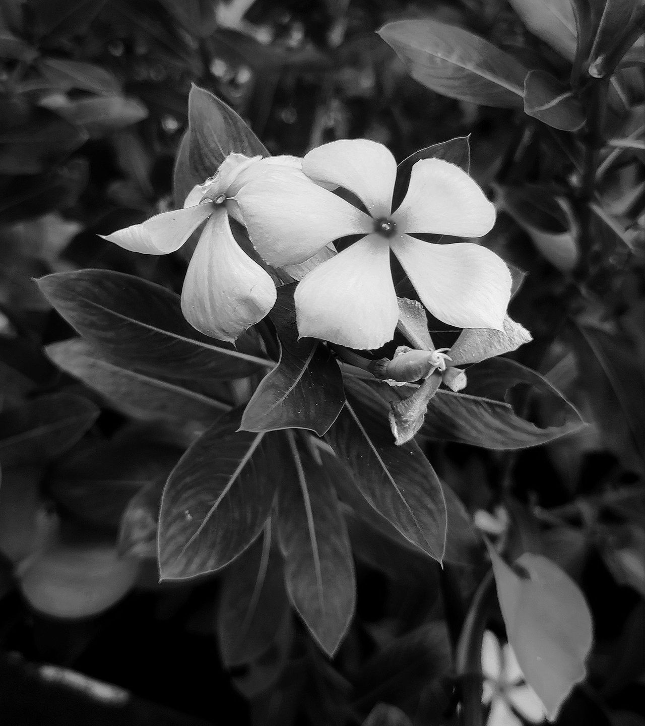 IMG_20220417_220610.jpg