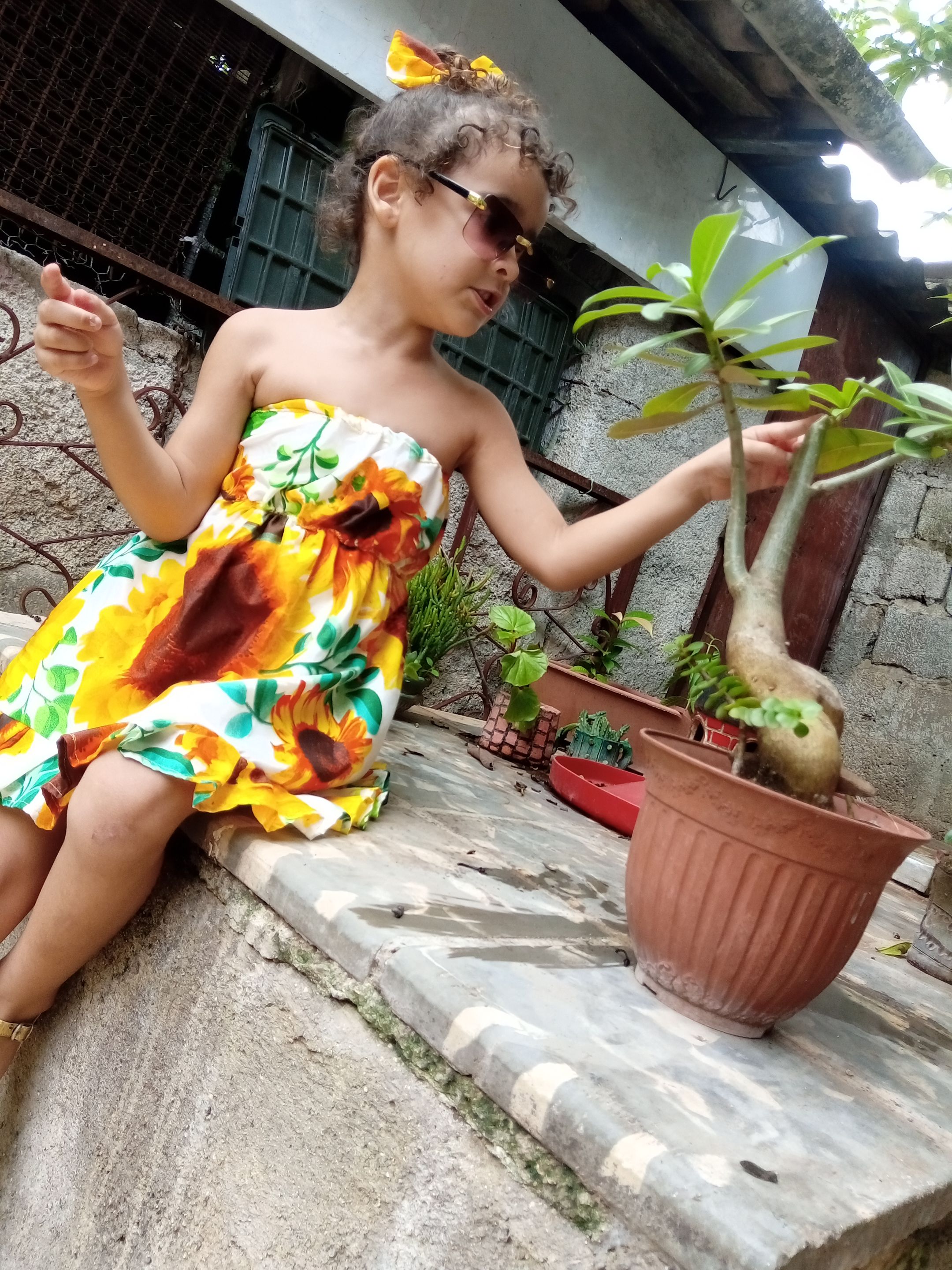 IMG_20240621_161220.jpg/