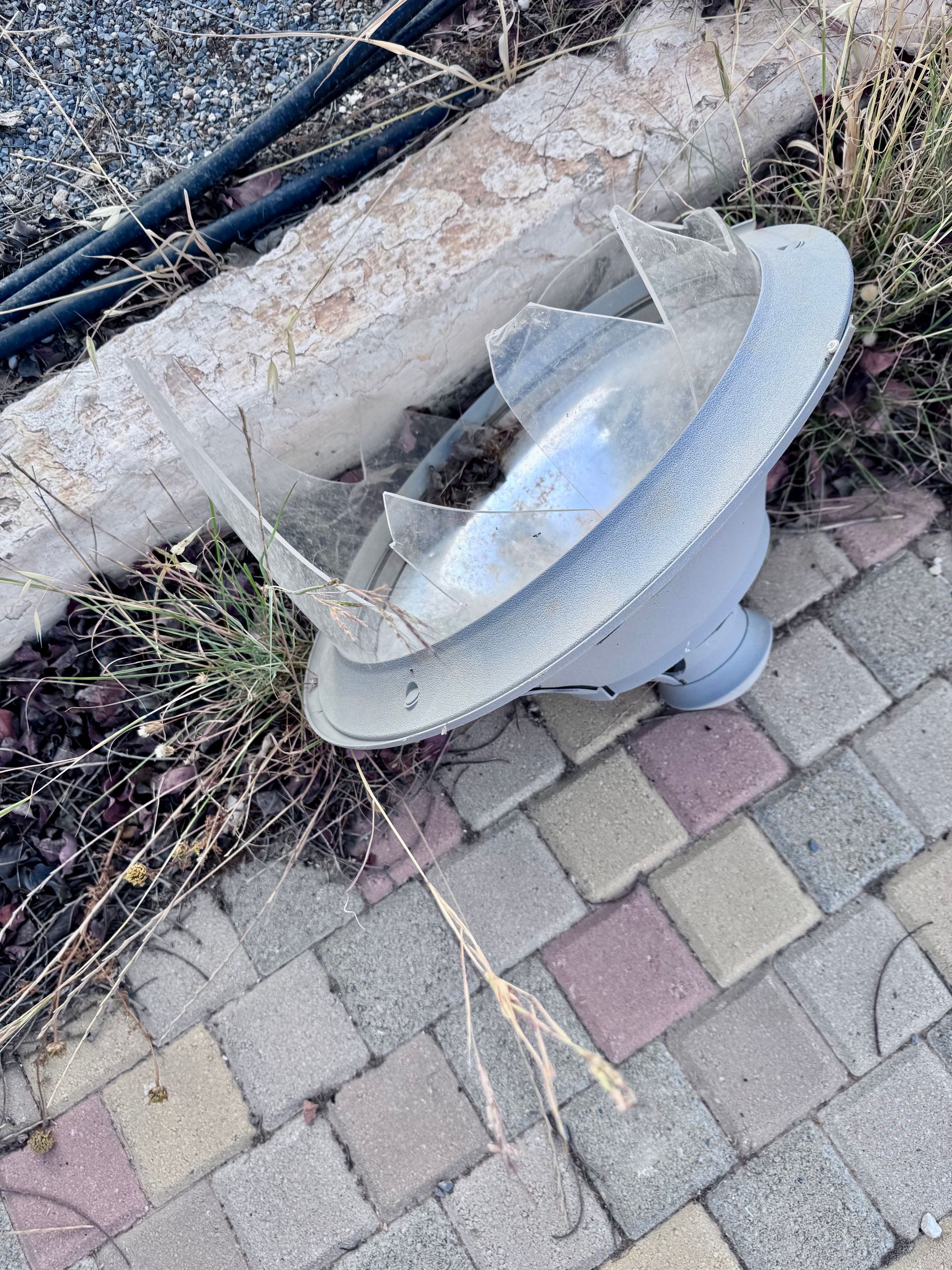IMG_9016.jpeg