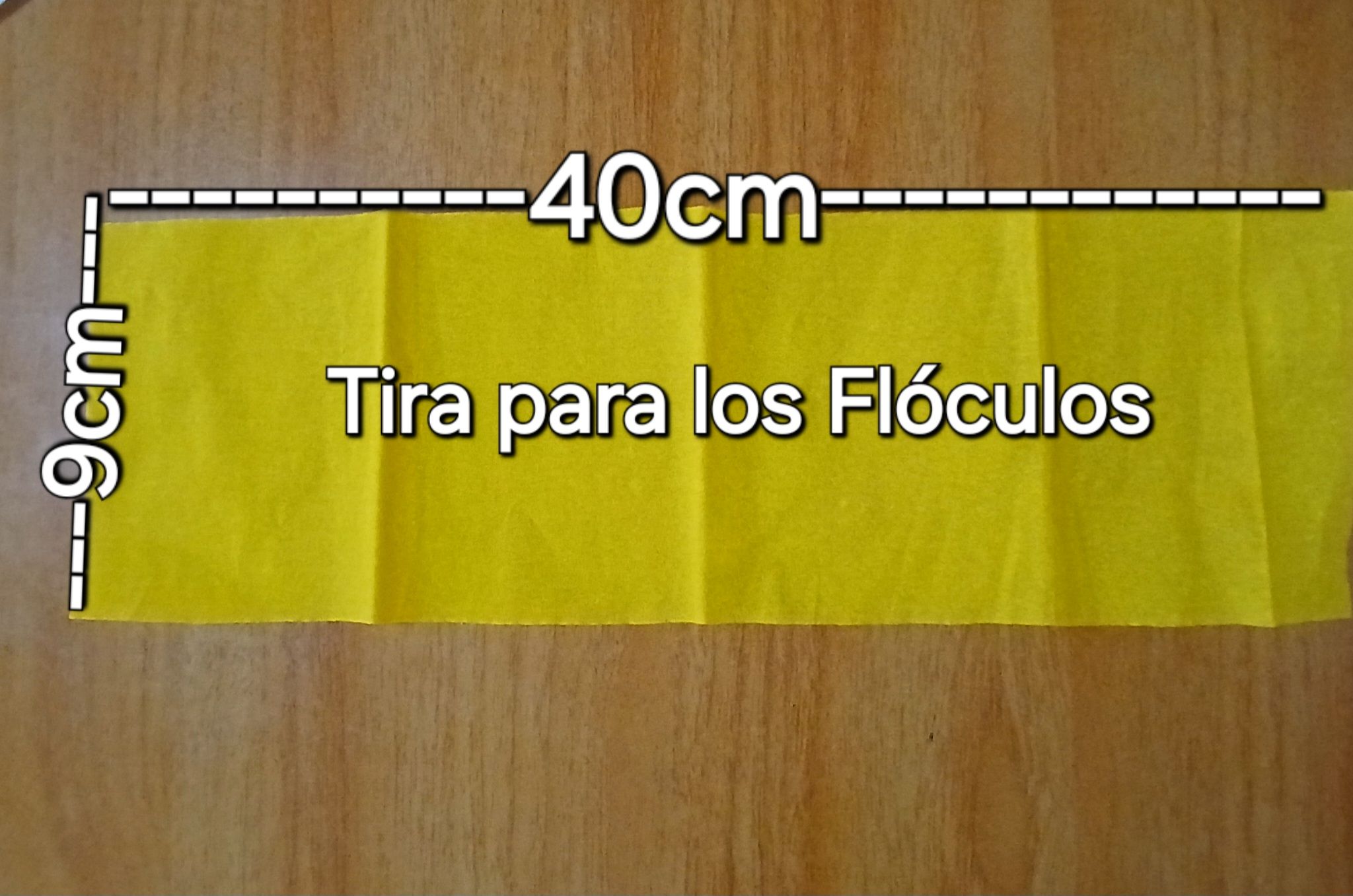1000099246.jpg