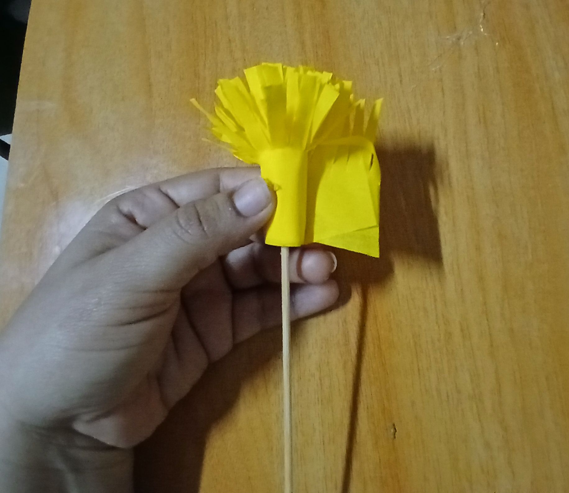 1000099252.jpg