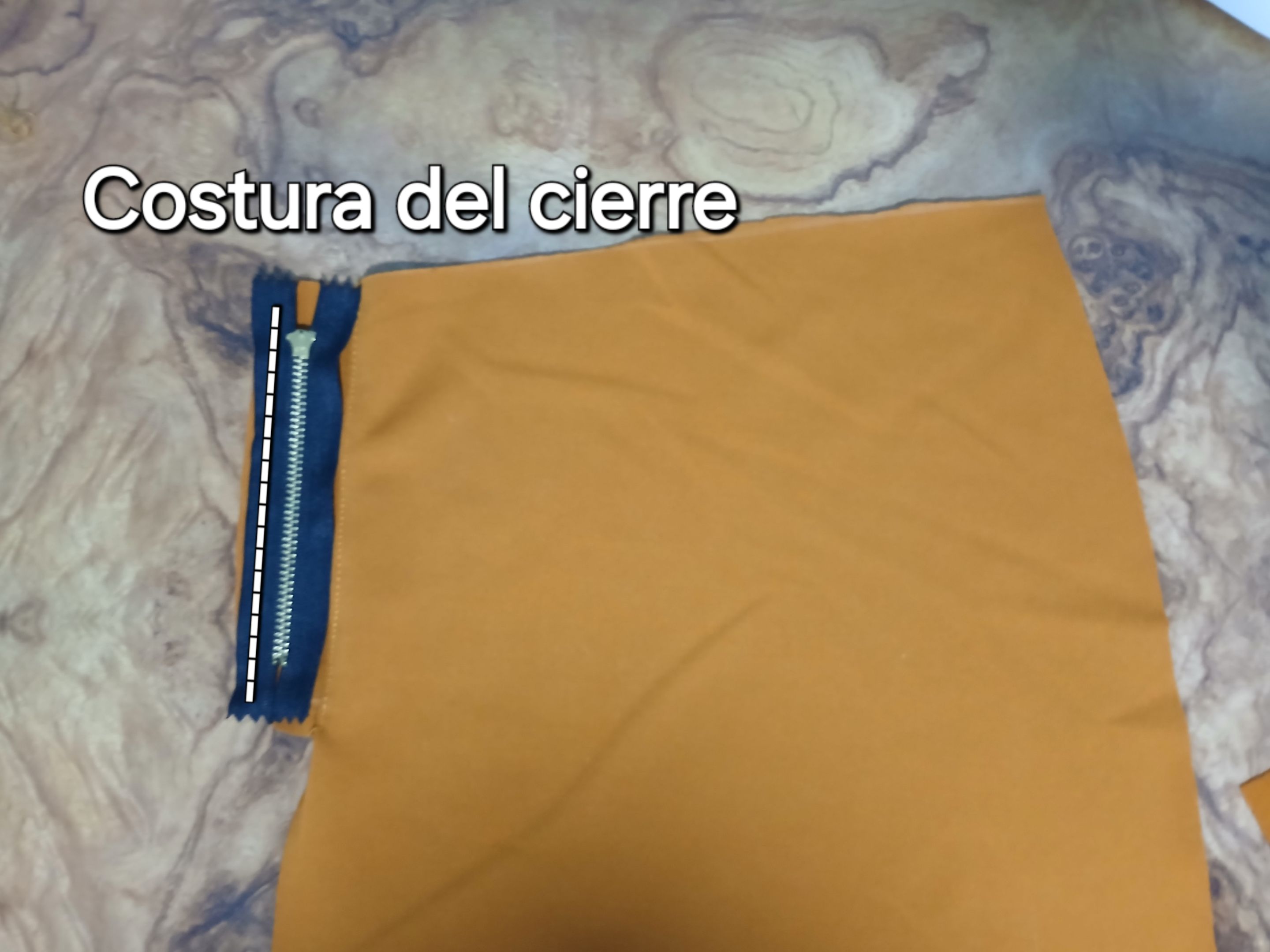 1000081635.jpg