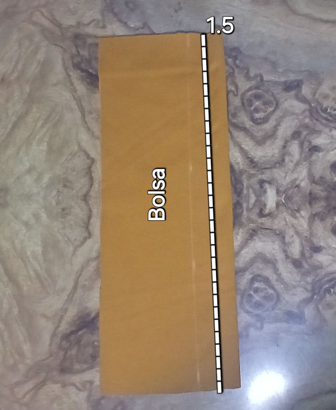 1000082023.jpg