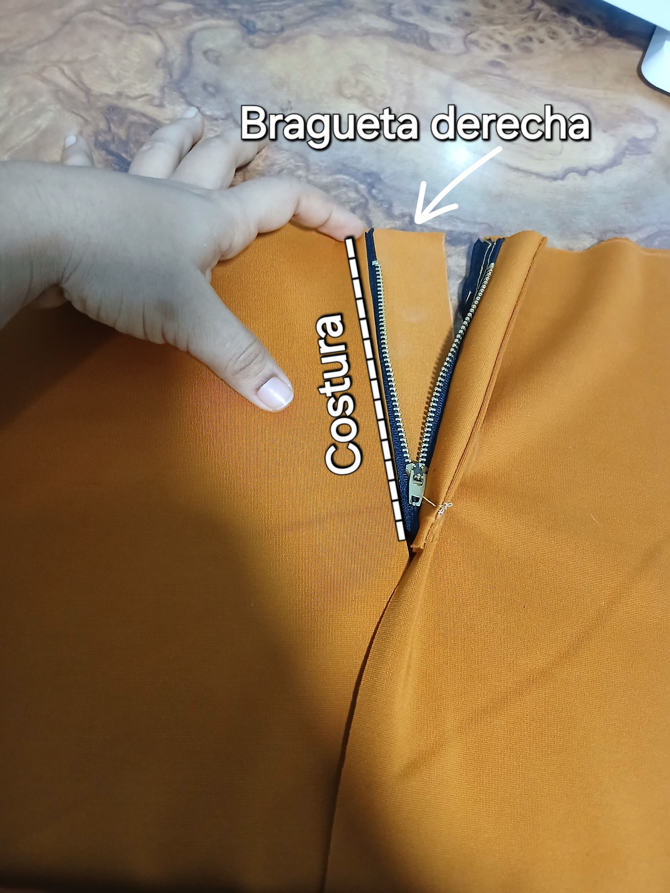 1000081647.jpg