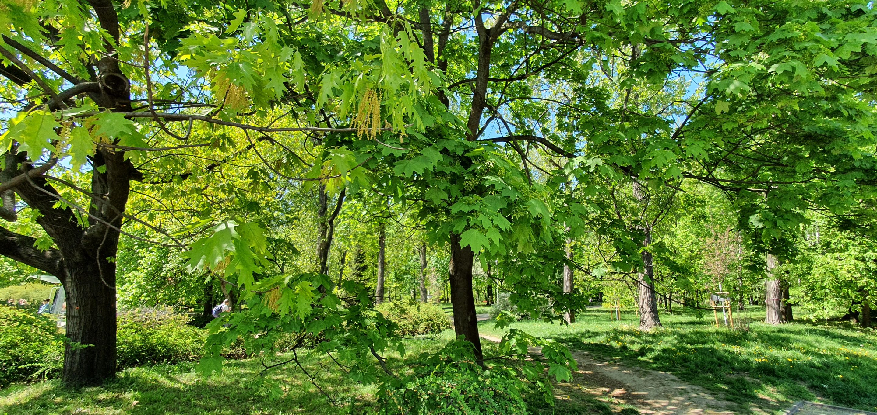 20220510_130215.jpg