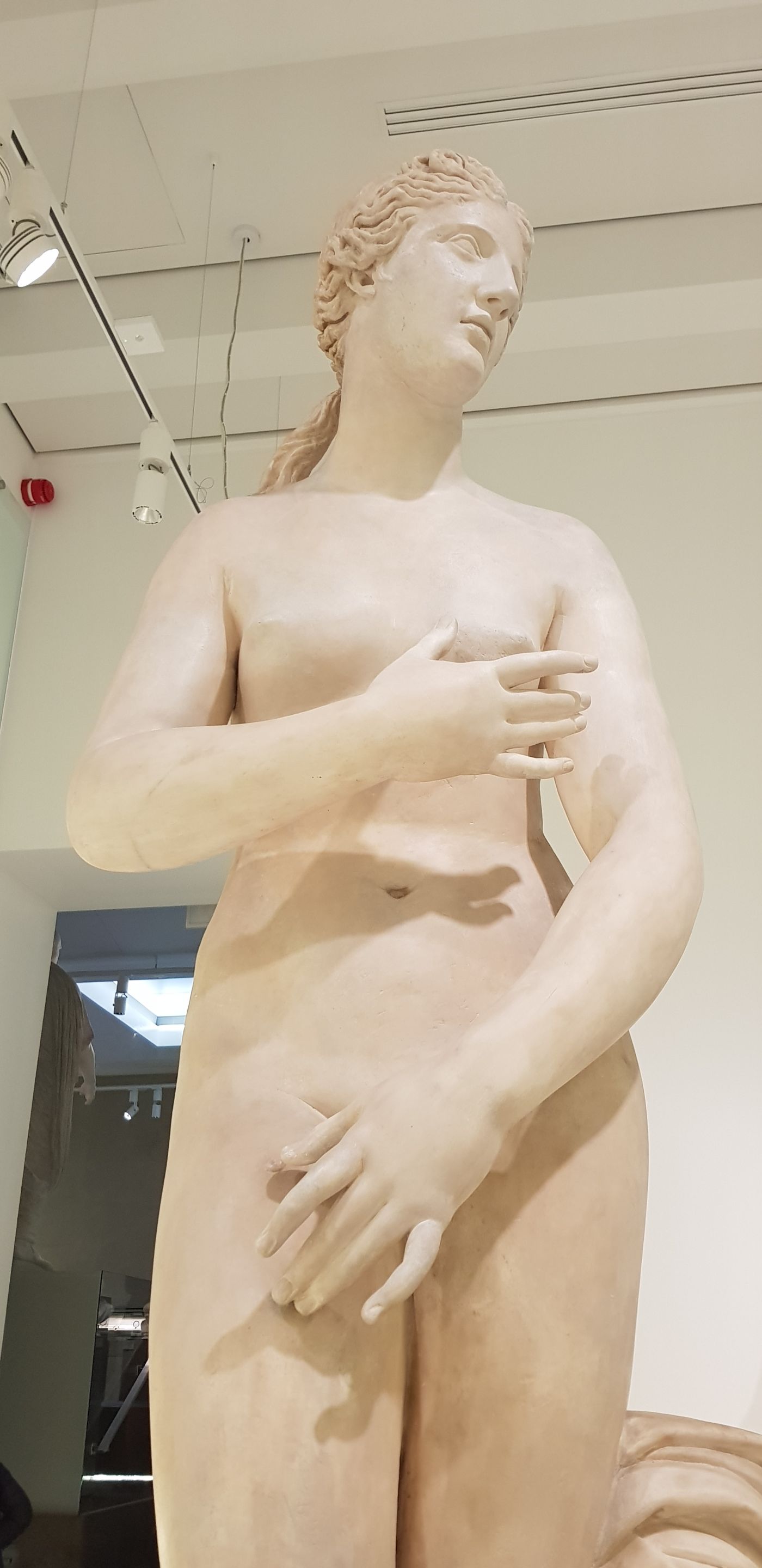 muz29a.jpg