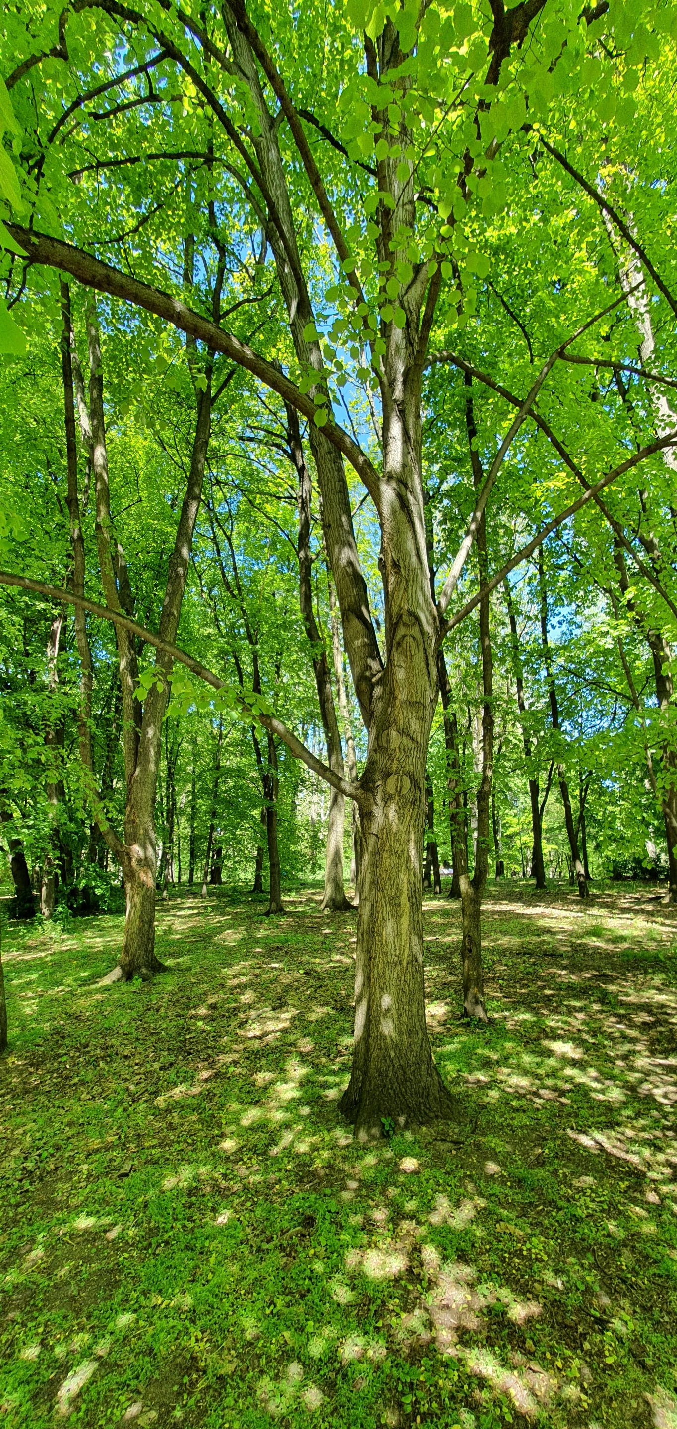 20220510_131017.jpg