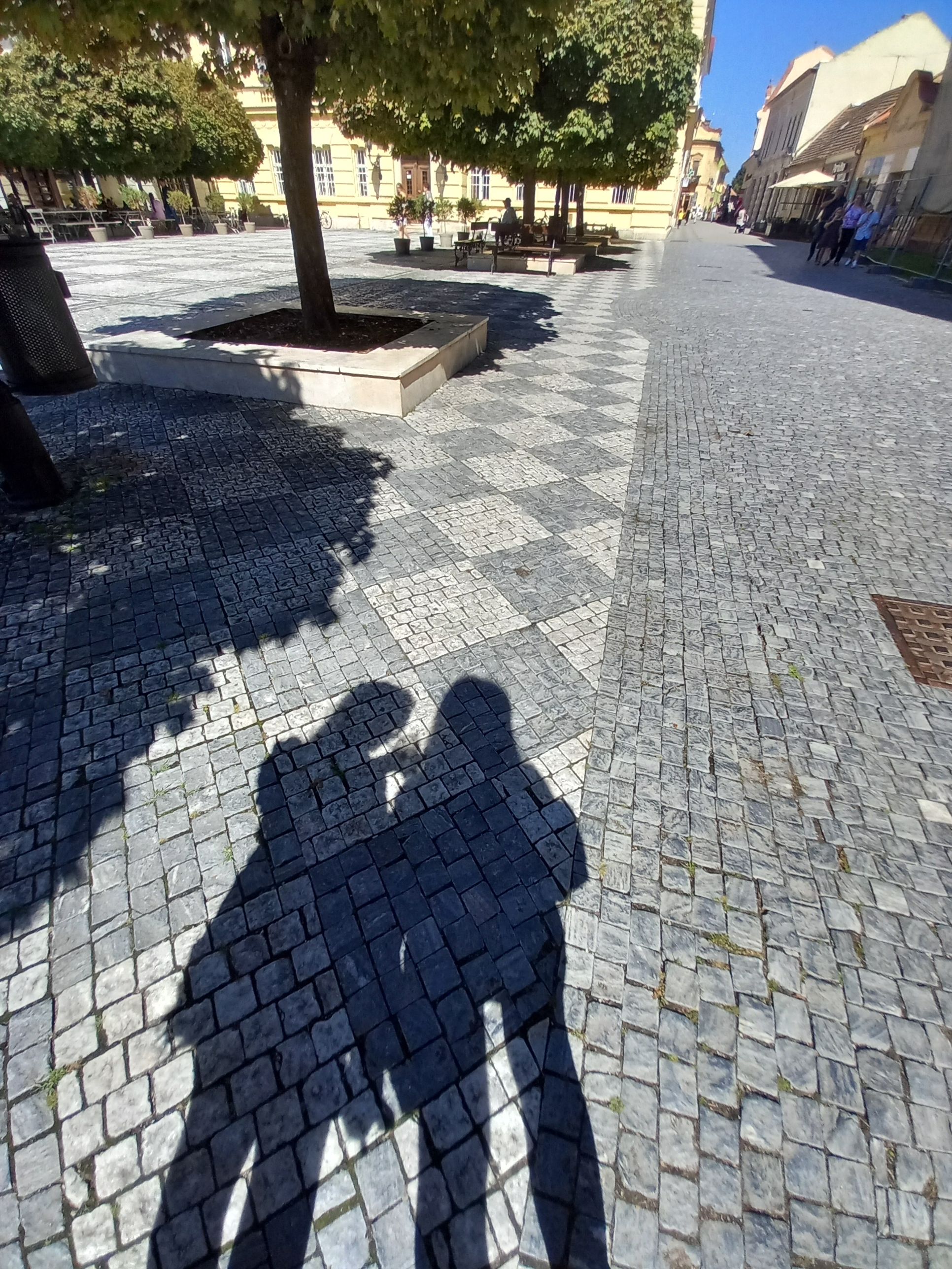 20250901_132607.jpg