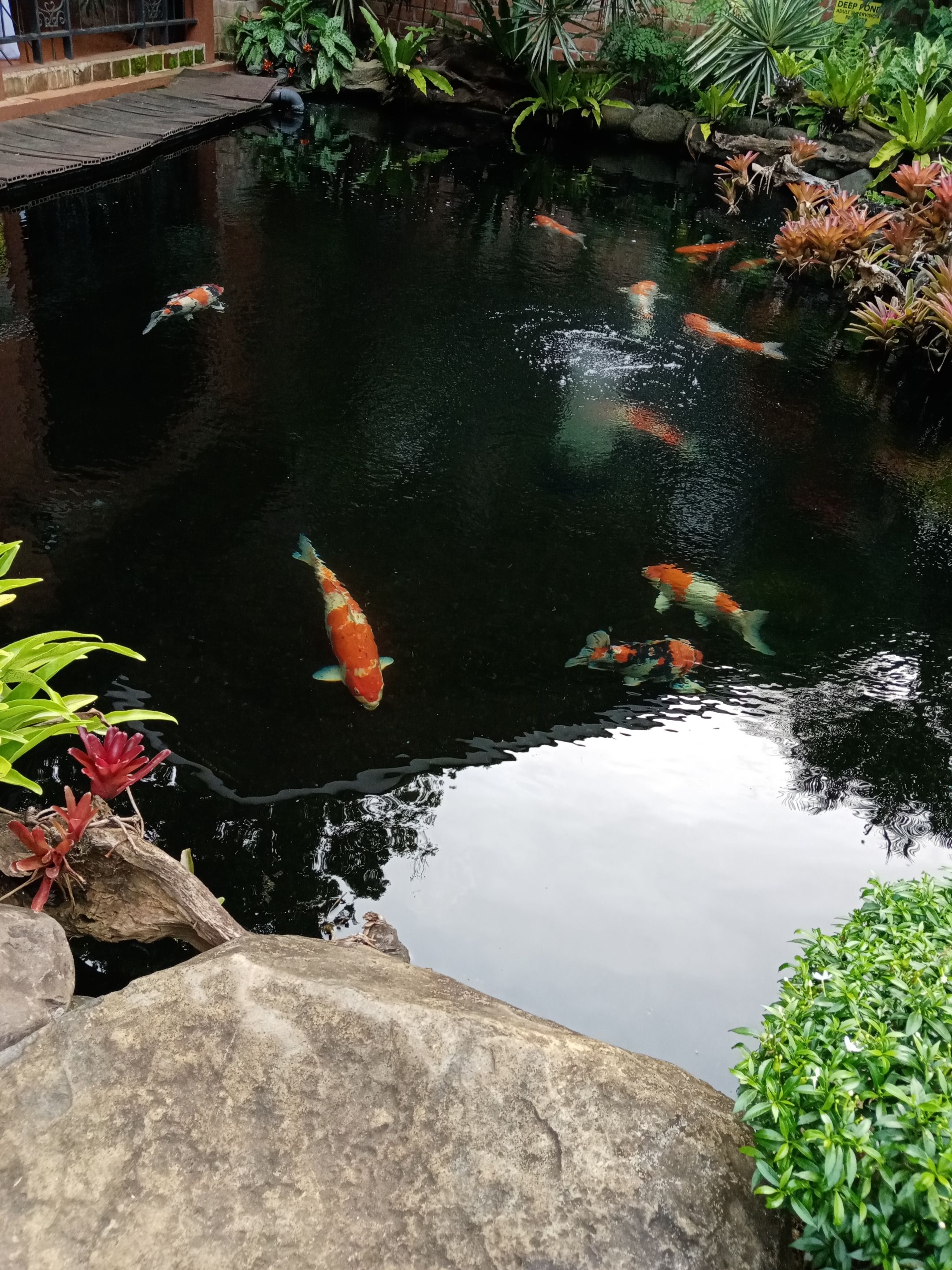 IMG_20220101_160620.jpg