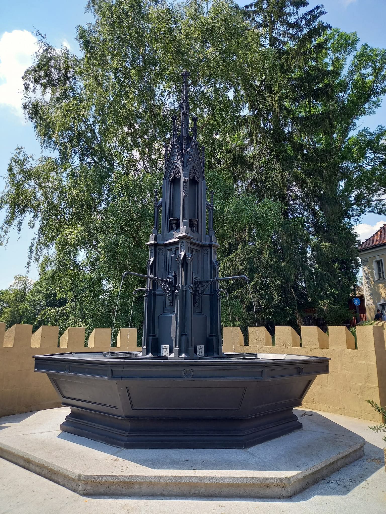 1000023854.jpg