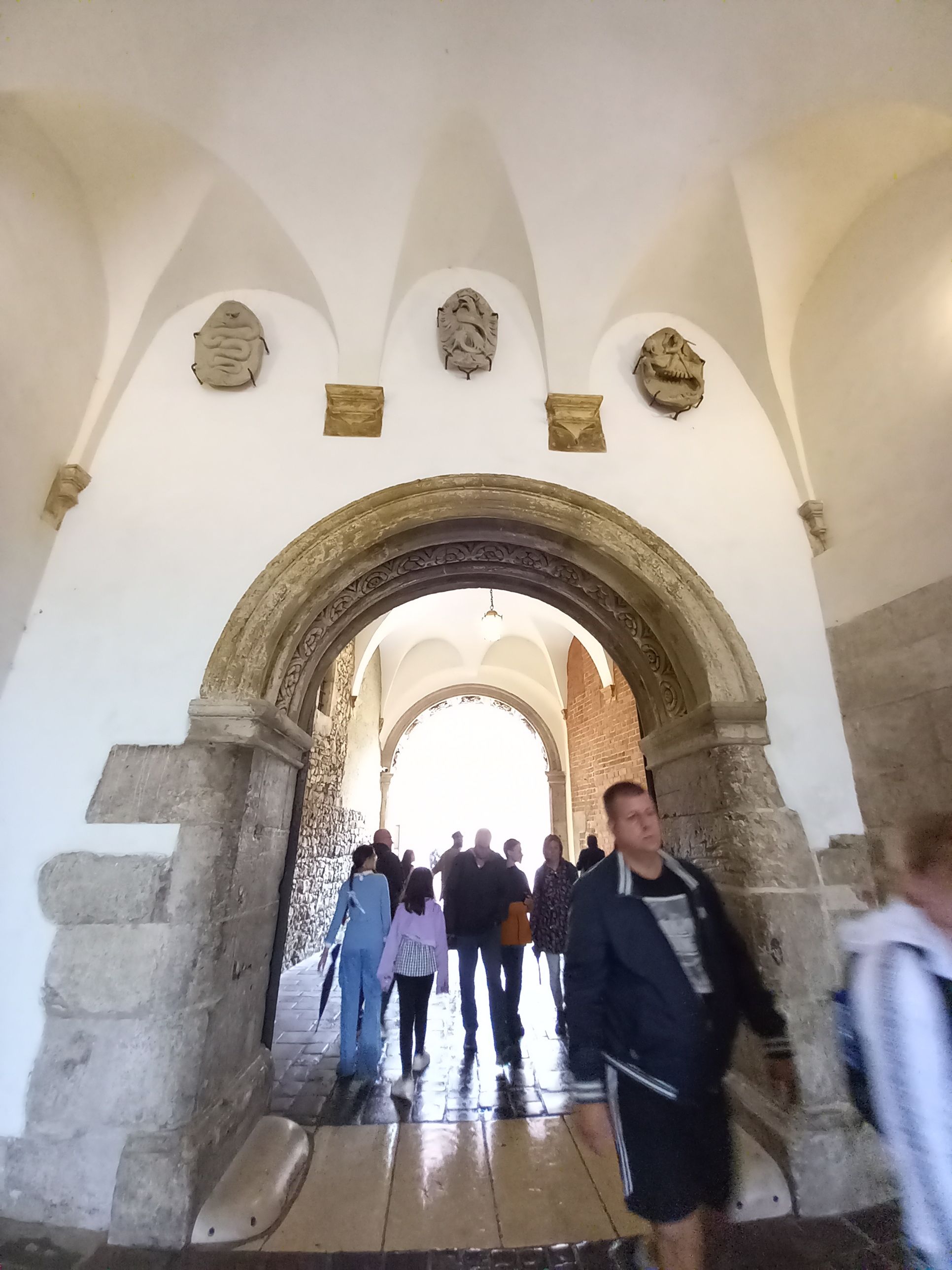 20240803_142605.jpg