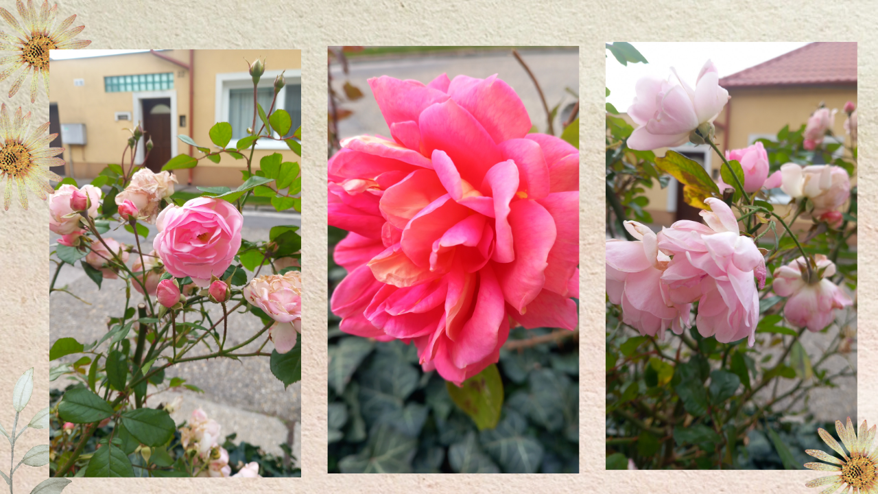 Beige Aesthetic Cut Out Travel Vlog Youtube Thumbnail - 2025-10-28T215453.967.png