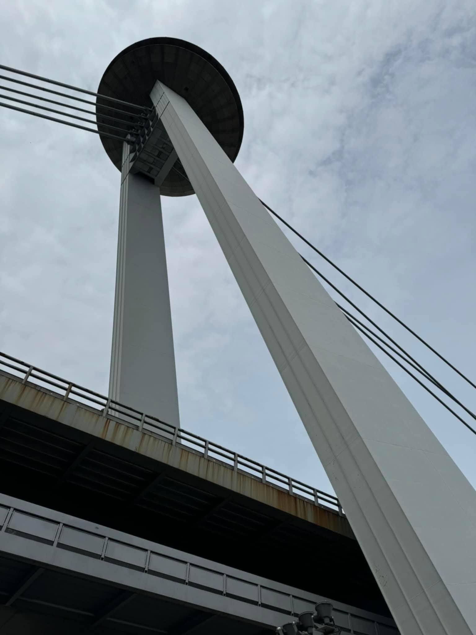20230616_112554.jpg
