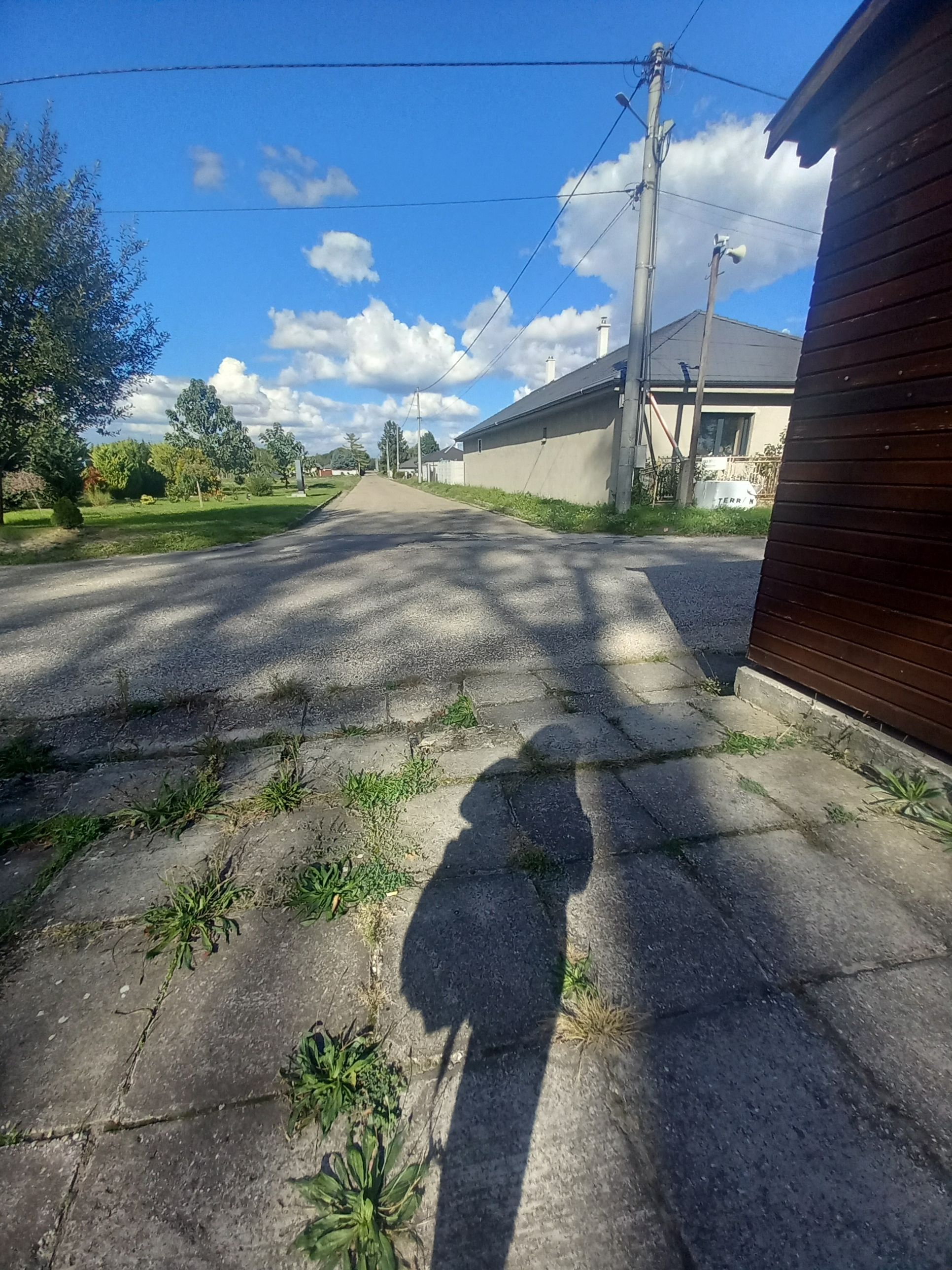 20250929_145051.jpg