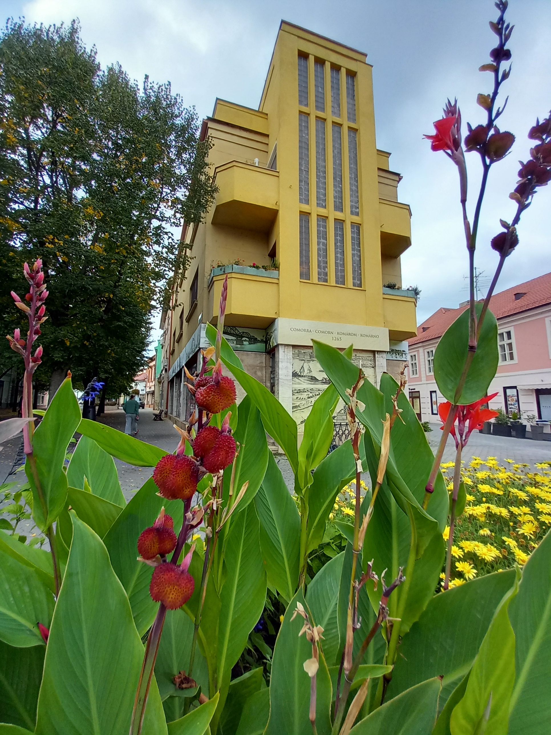 20250928_131341.jpg
