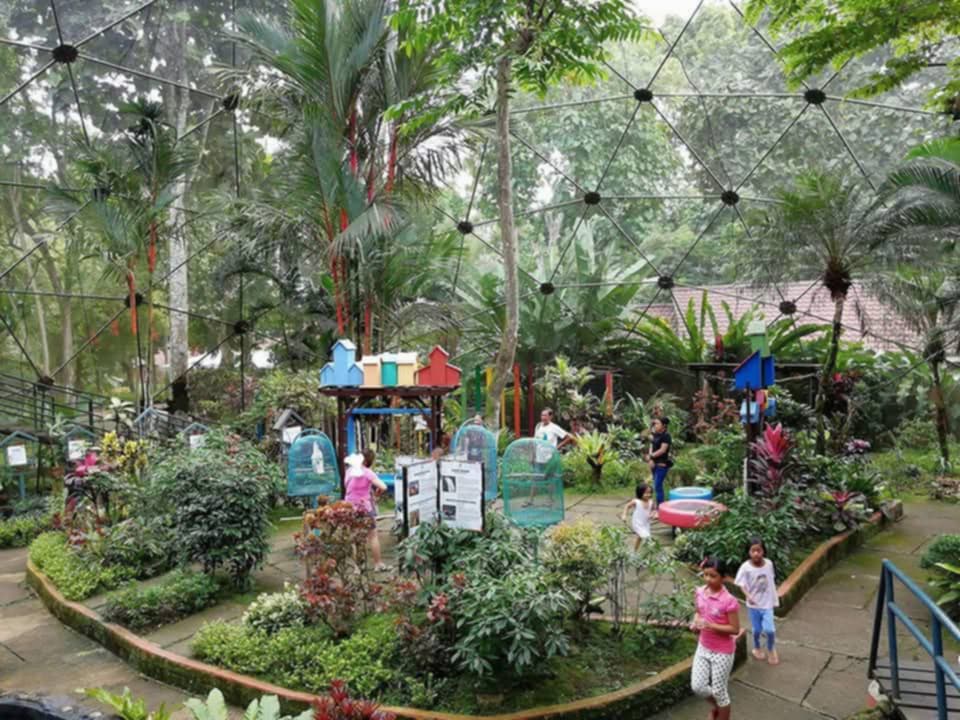 be088998-8a7a-4f8a-a932-4d216ff468be.jpg