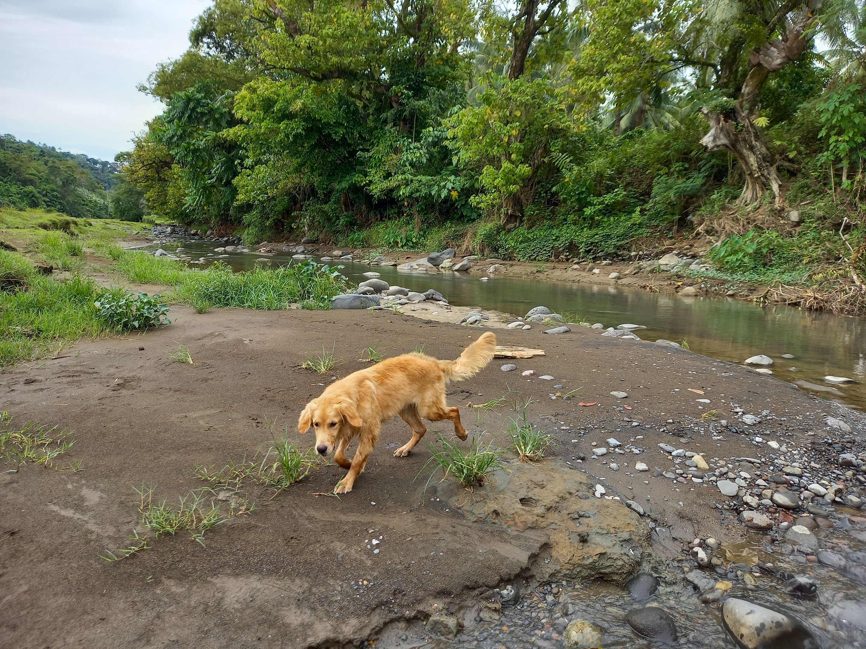 20230121_140541.jpg