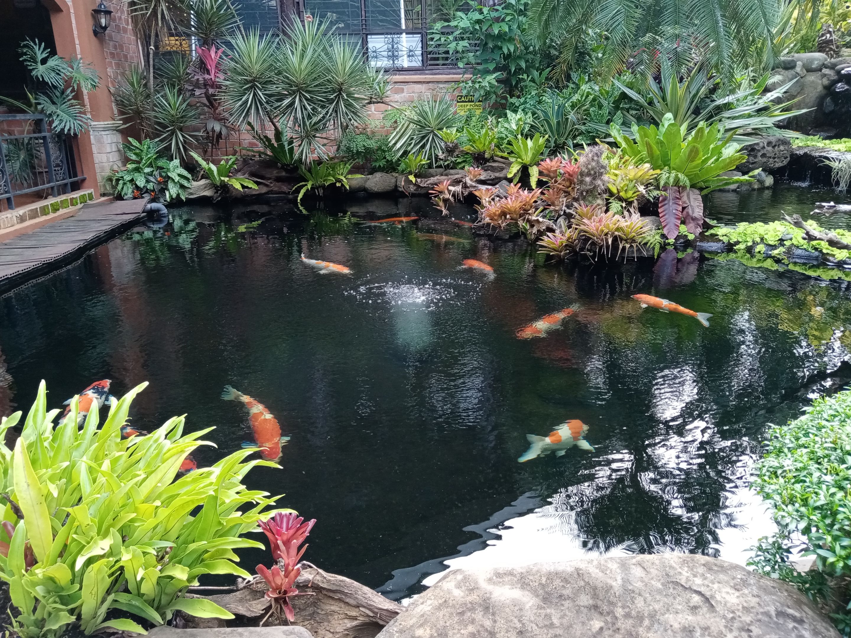 IMG_20220101_160613.jpg