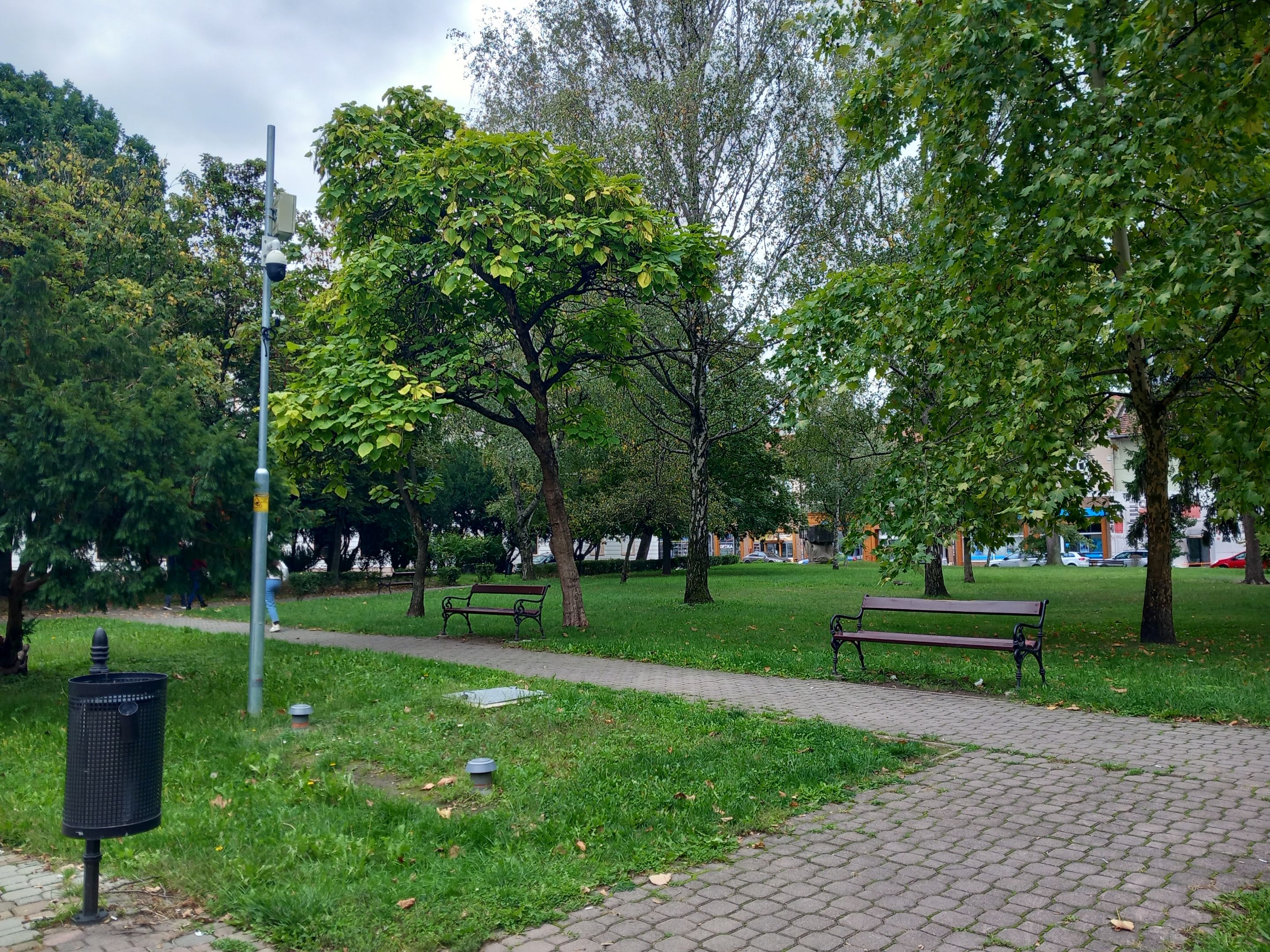 20250928_114713.jpg