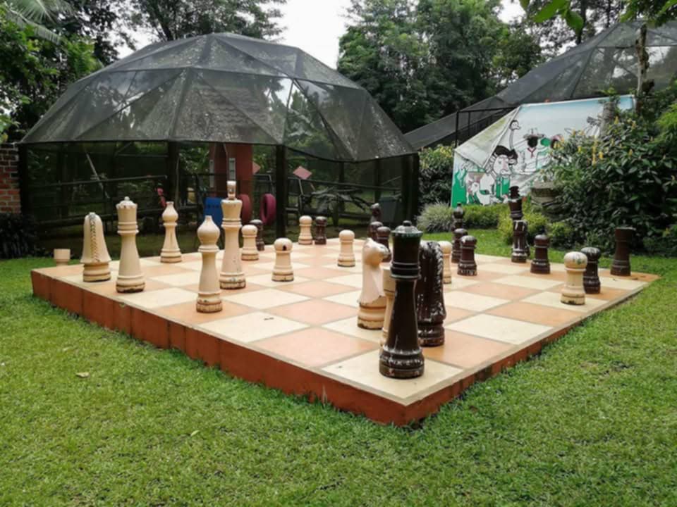 4e13fba3-0a33-433e-b54c-2ccdef711ec3.jpg