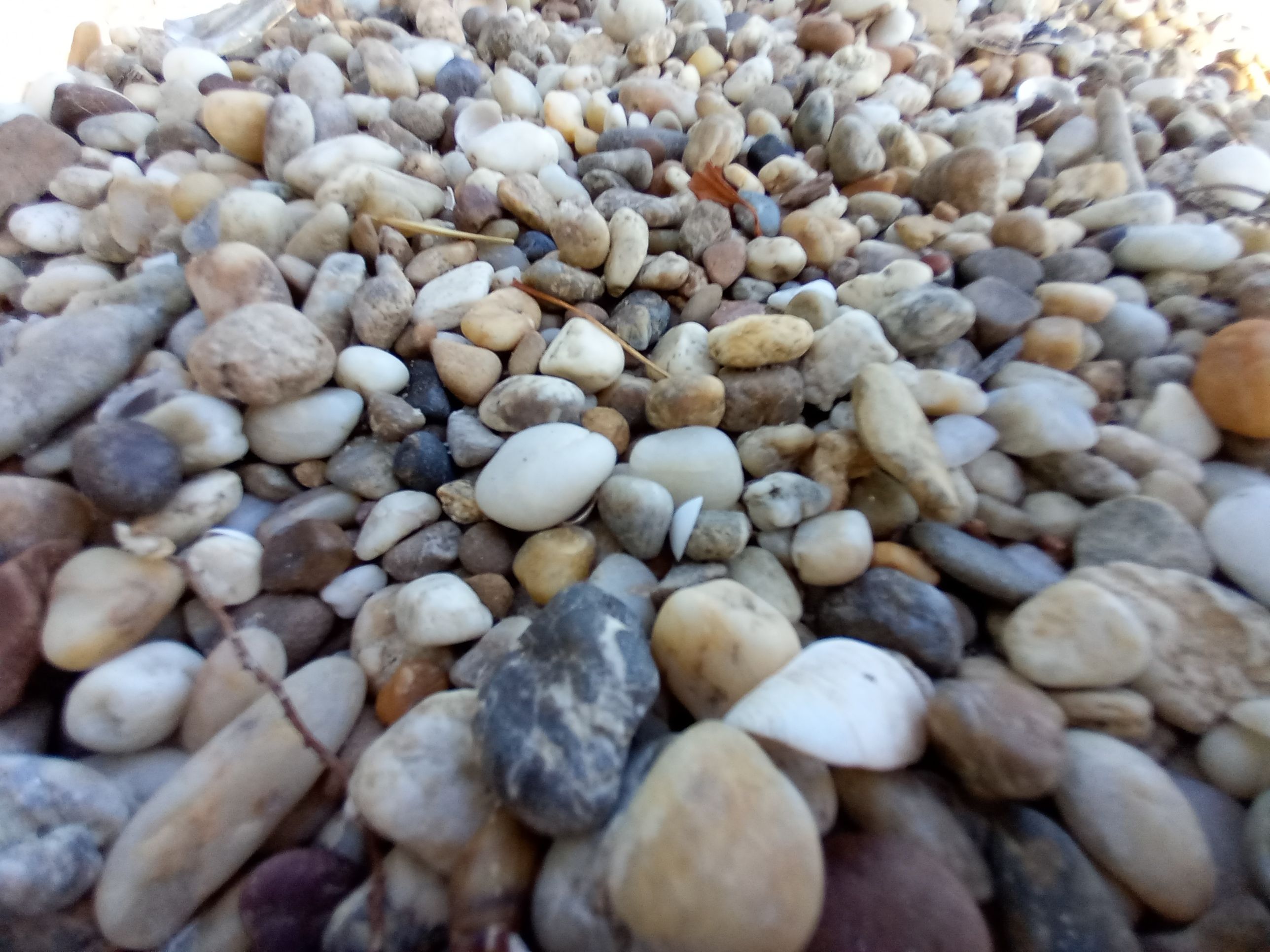 20250705_173716.jpg