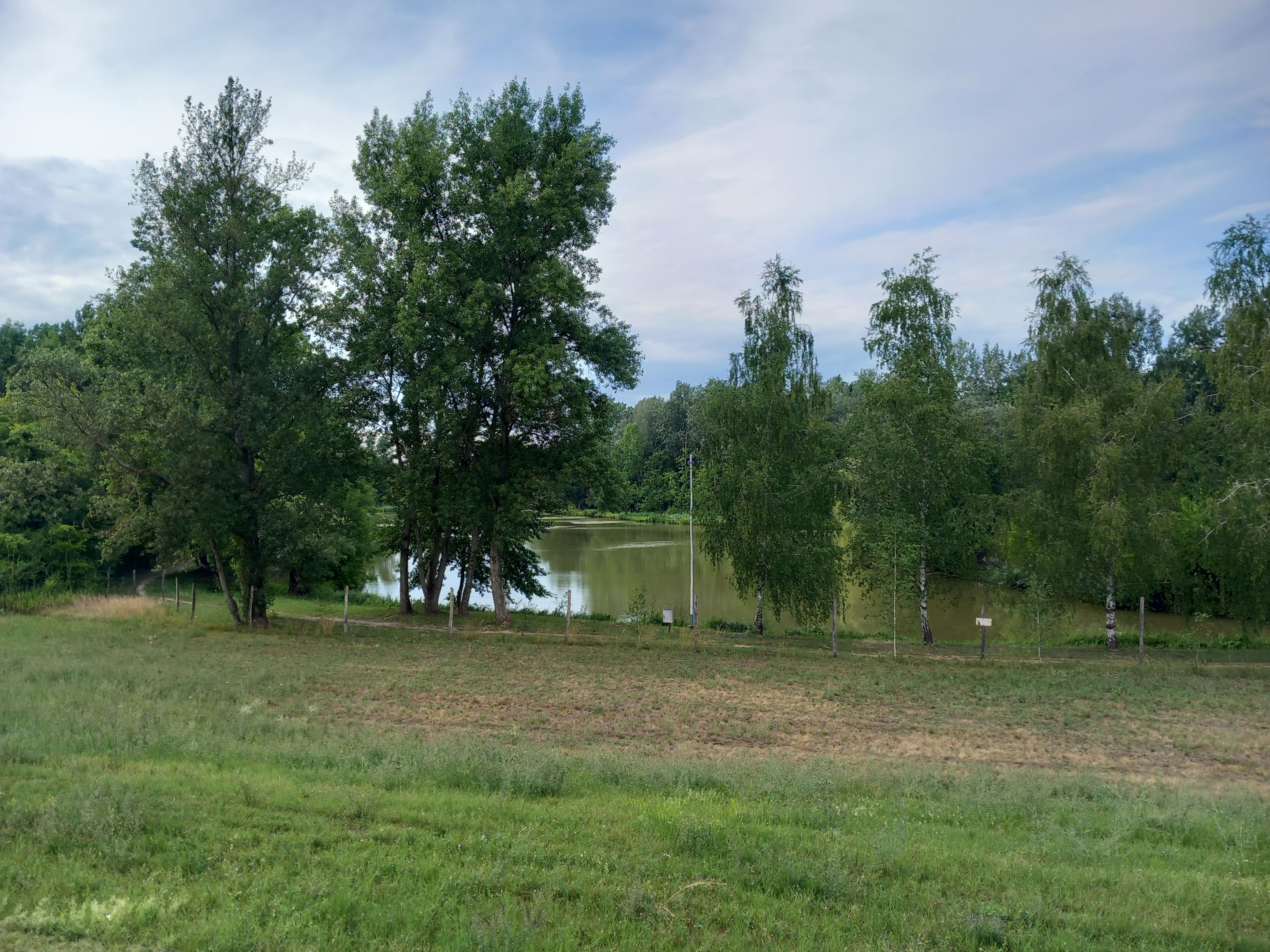 20250716_162224.jpg