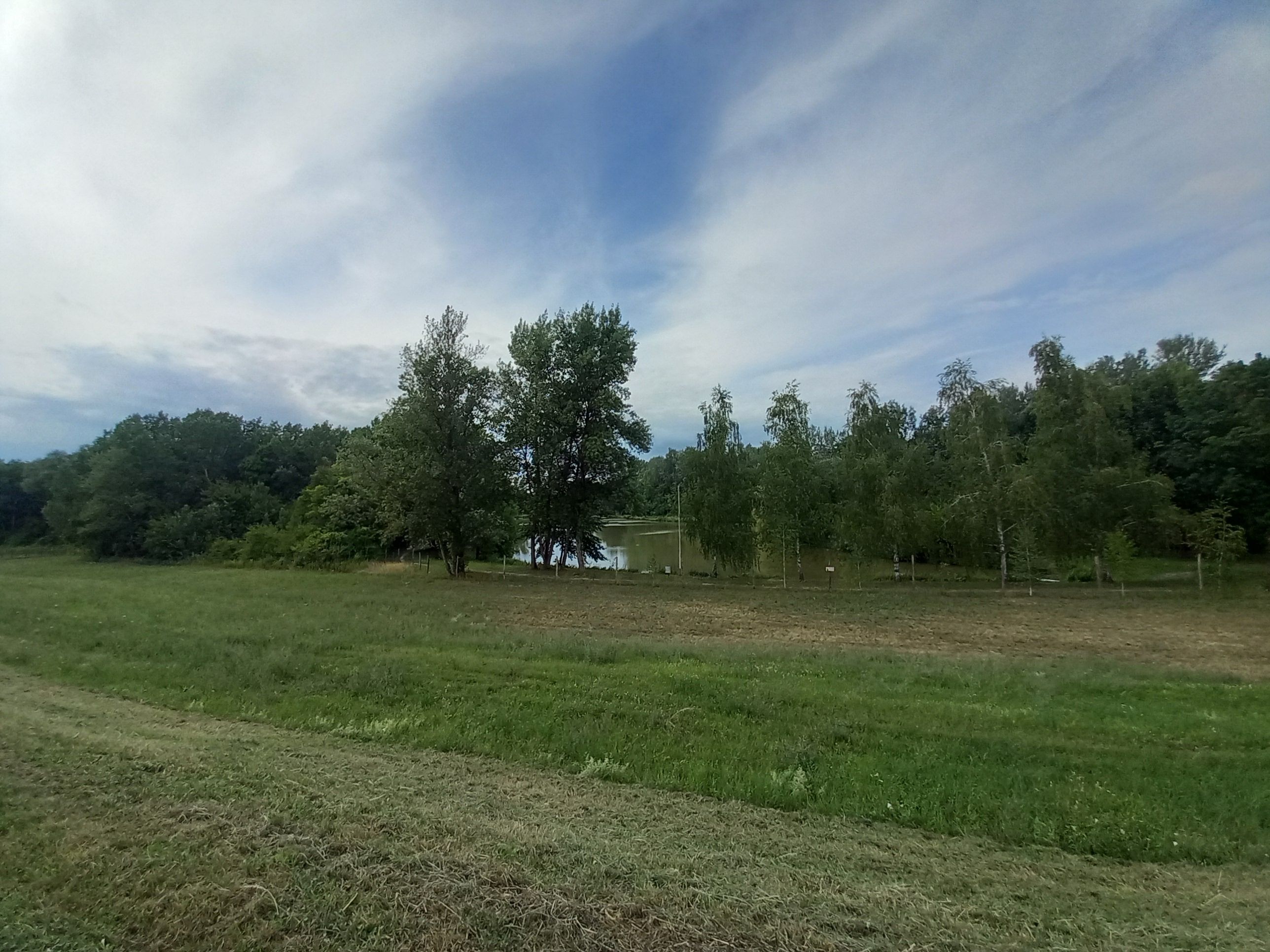 20250716_162231.jpg